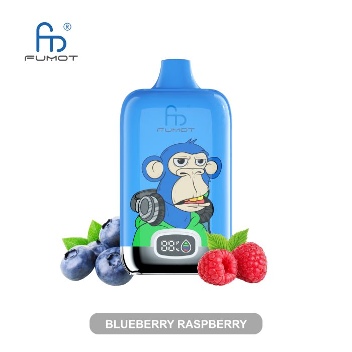 Fumot 12000 Blueberry Raspberry | Randm Tornado 12000 Fumot Digital Box 12000 E-Zigarette top 10 – Bild 1